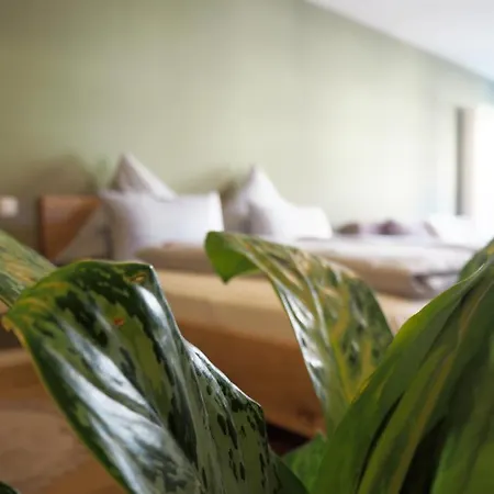 Altschwabing - Boutique Hotel Mnichov