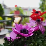 Altschwabing - Boutique