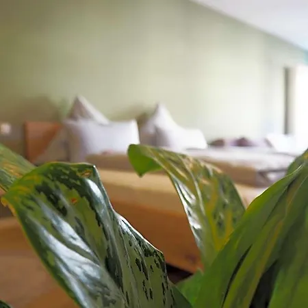 Altschwabing - Boutique 3*