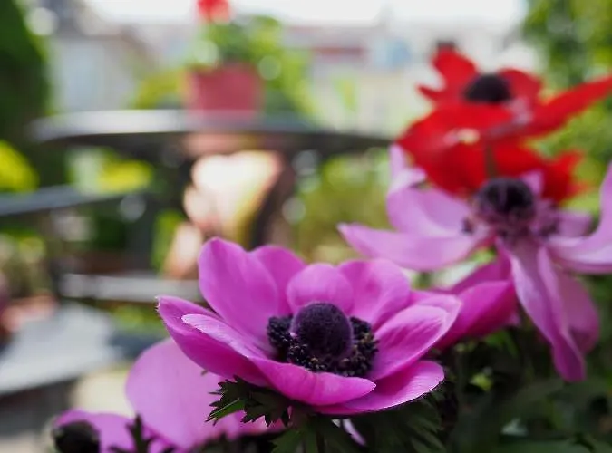 Altschwabing - Boutique